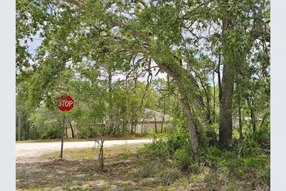 0 Song Sparrow Avenue, Weeki Wachee, FL 34614 - Photo 3