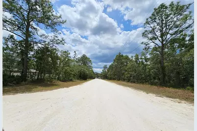 0 Song Sparrow Avenue, Weeki Wachee, FL 34614 - Photo 11