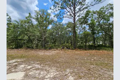 0 Song Sparrow Avenue, Weeki Wachee, FL 34614 - Photo 15