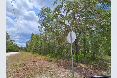 0 Song Sparrow Avenue, Weeki Wachee, FL 34614 - Photo 5