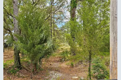 0 Song Sparrow Avenue, Weeki Wachee, FL 34614 - Photo 23