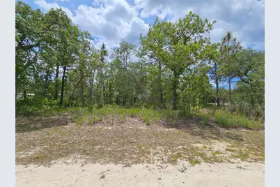 0 Song Sparrow Avenue, Weeki Wachee, FL 34614 - Photo 17