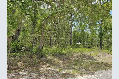 0 Song Sparrow Avenue, Weeki Wachee, FL 34614 - Photo 13