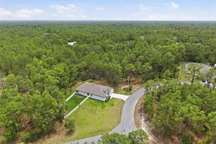 39 Milbark Dr, Homosassa, FL 34446 - Photo 53