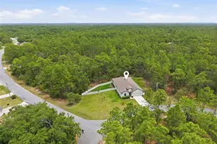 39 Milbark Dr, Homosassa, FL 34446 - Photo 49