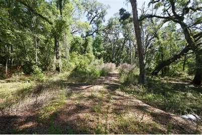 200 NE 364th Avenue, Old Town, FL 32680 - Photo 3