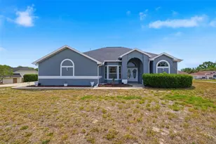 6101 Krista Dr, Spring Hill, FL 34609 - Photo 49