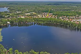 8719 Creedmoor Ln, New Port Richey, FL 34654 - Photo 85