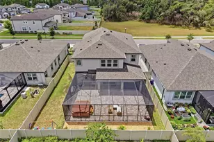 33163 Sycamore Leaf Dr, Wesley Chapel, FL 33545 - Photo 81