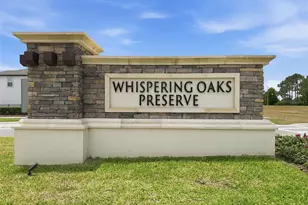 33163 Sycamore Leaf Dr, Wesley Chapel, FL 33545 - Photo 83