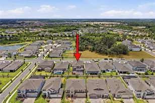 33163 Sycamore Leaf Dr, Wesley Chapel, FL 33545 - Photo 85