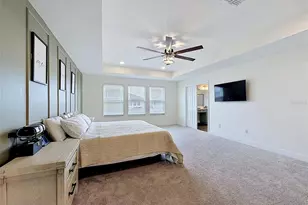 33163 Sycamore Leaf Dr, Wesley Chapel, FL 33545 - Photo 41