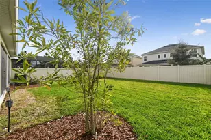 13676 Stansil Ave, Odessa, FL 33556 - Photo 49