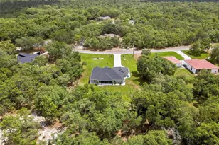14108 Mulkerin Dr, Weeki Wachee, FL 34614 - Photo 41