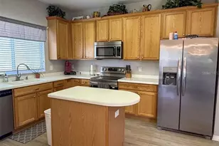17535 Stinchar Dr, Land O Lakes, FL 34638 - Photo 7