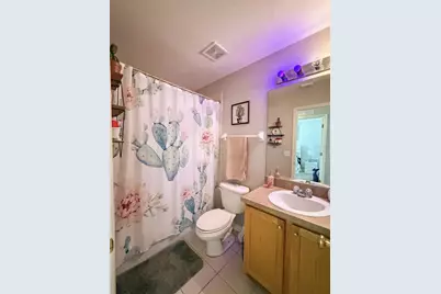 17535 Stinchar Drive, Land O Lakes, FL 34638 - Photo 21