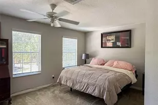 17535 Stinchar Dr, Land O Lakes, FL 34638 - Photo 11