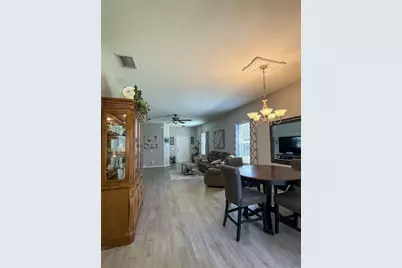 17535 Stinchar Drive, Land O Lakes, FL 34638 - Photo 5