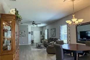 17535 Stinchar Dr, Land O Lakes, FL 34638 - Photo 5