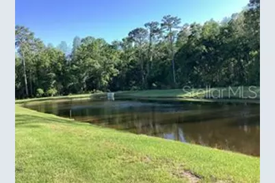 17522 Nectar Flume Drive, Land O Lakes, FL 34638 - Photo 11