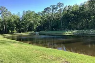 17522 Nectar Flume Dr, Land O Lakes, FL 34638 - Photo 13