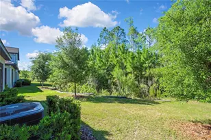 16663 Shell Bay Dr, Land O Lakes, FL 34638 - Photo 35