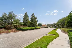 9423 Fairhope Ct, New Port Richey, FL 34654 - Photo 85