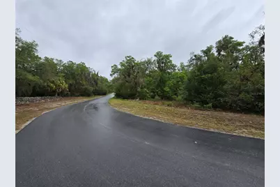 6727 N Linen Point, Dunnellon, FL 34433 - Photo 3