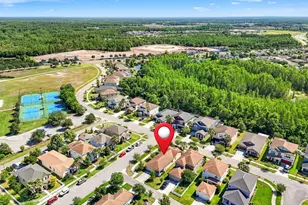 8751 Shady Pavillion Ct, Land O Lakes, FL 34637 - Photo 53