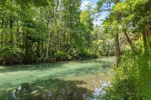 6762 E Richard Dr, Weeki Wachee, FL 34607 - Photo 3