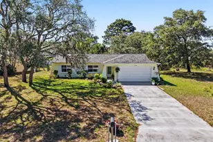 11196 Sheffield Rd, Spring Hill, FL 34608 - Photo 3