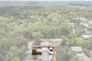 6245 Waverly Rd, Weeki Wachee, FL 34607 - Photo 29