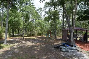 14241 Ravine Ave, Weeki Wachee, FL 34614 - Photo 35