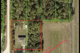 14241 Ravine Ave, Weeki Wachee, FL 34614 - Photo 47