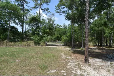 14241 Ravine Avenue, Weeki Wachee, FL 34614 - Photo 33