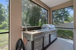 14807 Princewood Ln, Land O Lakes, FL 34638 - Photo 47