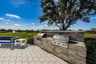 19865 Sea Glass Cir, Land O Lakes, FL 34638 - Photo 69