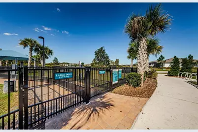 19865 Sea Glass Circle, Land O Lakes, FL 34638 - Photo 77