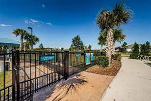 19865 Sea Glass Cir, Land O Lakes, FL 34638 - Photo 77