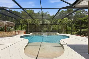 11143 Ragsdale Ct, New Port Richey, FL 34654 - Photo 31