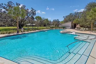 13720 Stevenson Ln, Odessa, FL 33556 - Photo 95