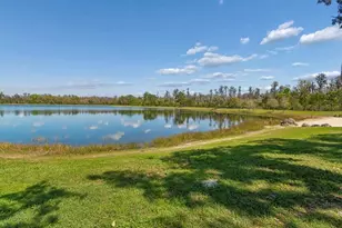 13720 Stevenson Ln, Odessa, FL 33556 - Photo 97