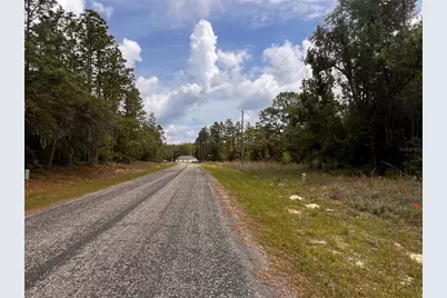 7095 N Foxdale Drive, Citrus Springs, FL 34434 - Photo 9