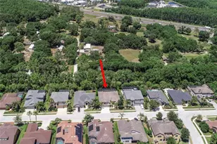 15141 Azra Dr, Odessa, FL 33556 - Photo 67