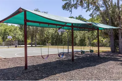 15141 Azra Drive, Odessa, FL 33556 - Photo 69