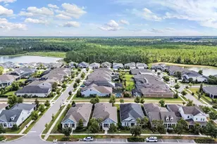4384 Broad Porch Run, Land O Lakes, FL 34638 - Photo 3