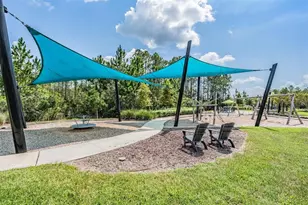 4384 Broad Porch Run, Land O Lakes, FL 34638 - Photo 37