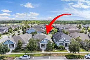 4384 Broad Porch Run, Land O Lakes, FL 34638 - Photo 1