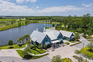16691 Vibrato Ln, Land O Lakes, FL 34638 - Photo 91
