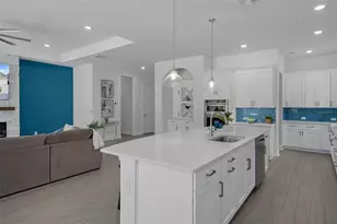 16691 Vibrato Ln, Land O Lakes, FL 34638 - Photo 19